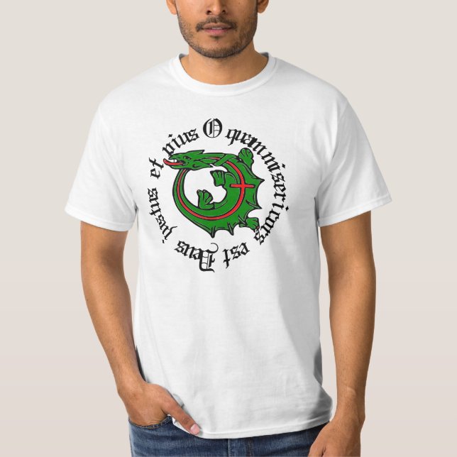 Camiseta Dragão ordem Shirt (Frente)