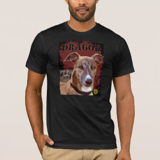 Camiseta Dragão T