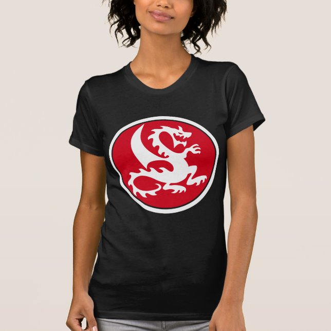 Camiseta dragon (Frente)