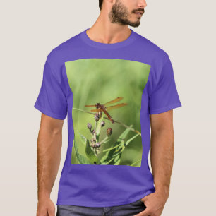 Camiseta Dragonfly