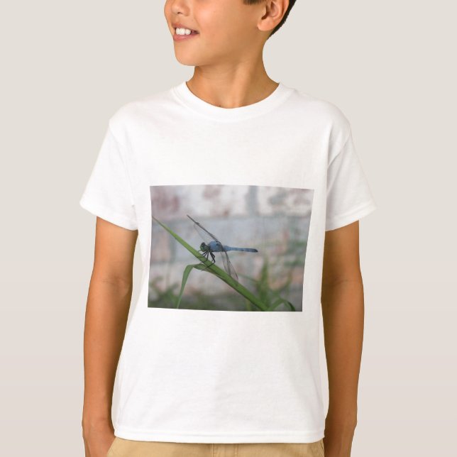 Camiseta Dragonfly Azul (Frente)
