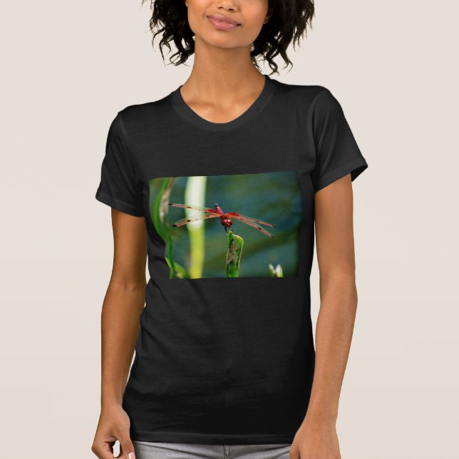 Camiseta Dragonfly Frontal Vermelha e Negra (Frente)