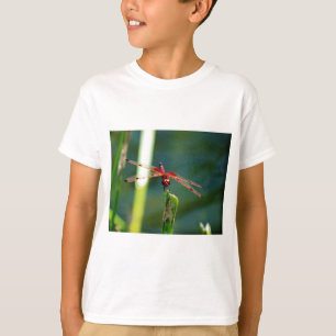 Camiseta Dragonfly Frontal Vermelha e Negra