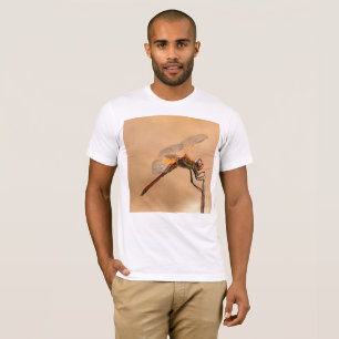 Camiseta Dragonfly Pintada Isolada Contra Ecru