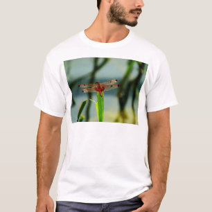 Camiseta Dragonfly Vermelha e Negra