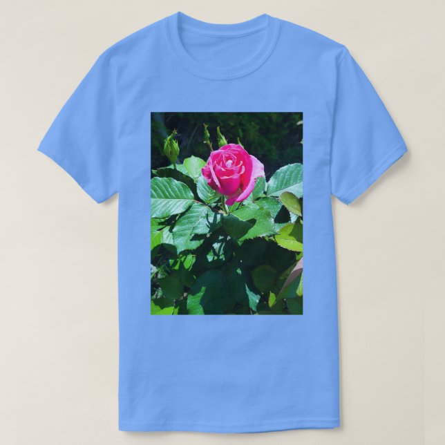 Camiseta Dreamweaver (Frente do Design)