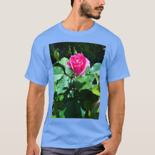 Camiseta Dreamweaver