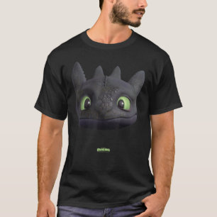 Camiseta DreamWorks Dragões Furo Noturno Sem Dente Cara Gra