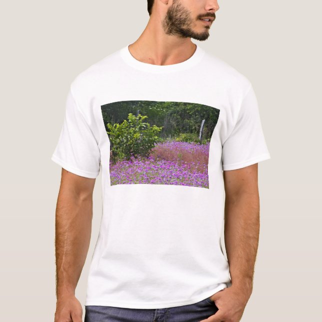 Camiseta Drummond Phlox, Phlox drummondi, Hilton Head (Frente)