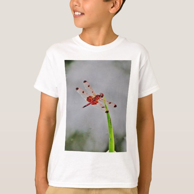 CAMISETA DSC00029.JPG (Frente)