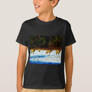 CAMISETA DSC00131.JPG
