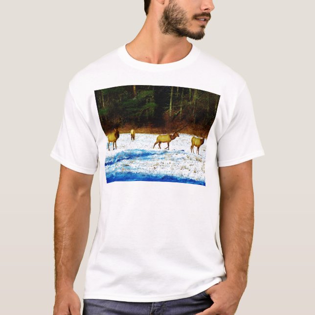 CAMISETA DSC00131.JPG (Frente)