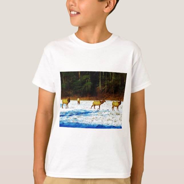 CAMISETA DSC00131.JPG (Frente)