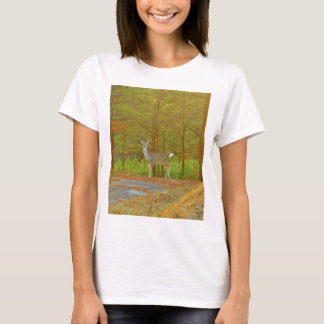 CAMISETA DSCF4041.JPG