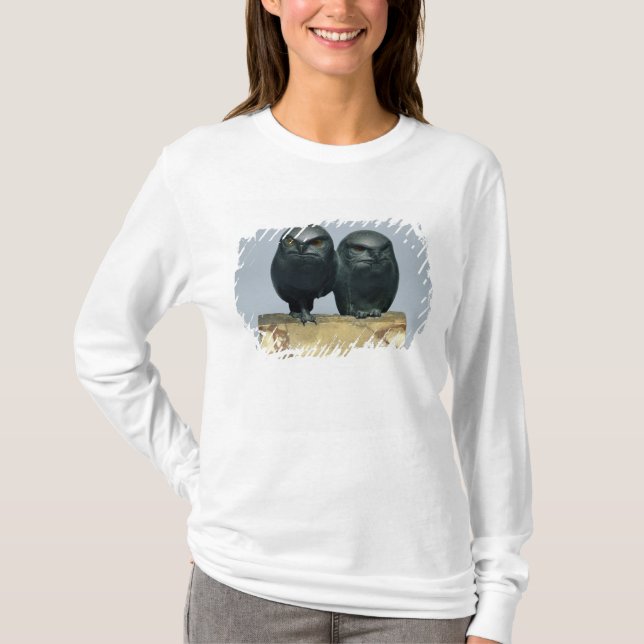 Camiseta Duas corujas, 1903-04 (Frente)