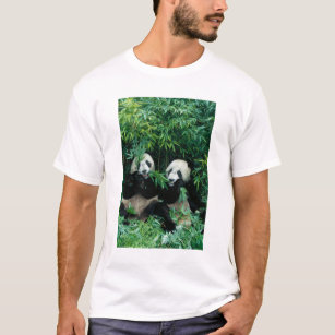 Camiseta Duas pandas que comem o bambu junto, Wolong, 2