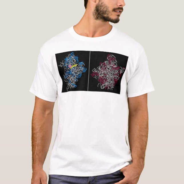 Camiseta duas subunidades ribosomal com trna e partes do (Frente)