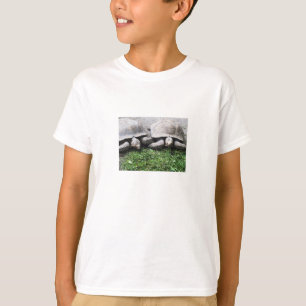 Camiseta Duas tartarugas gigantes