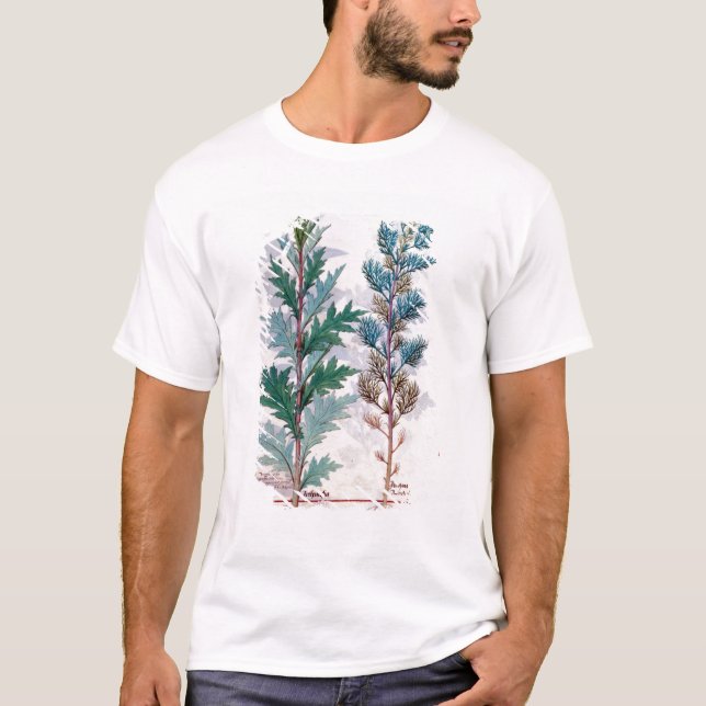 Camiseta Duas variedades de Artemesia (Frente)
