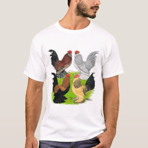 Camiseta D'Uccles quatro galos