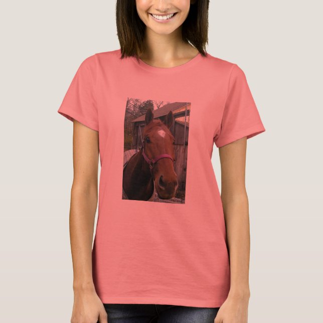 Camiseta Dudley Retirement Tee (Frente)