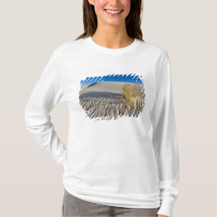 Camiseta Dunas de areia no Monumento Nacional White Sands e
