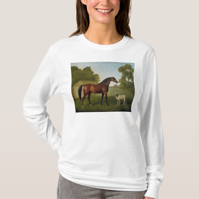 Camiseta Dungannon, a propriedade do coronel O'Kelly (Frente)