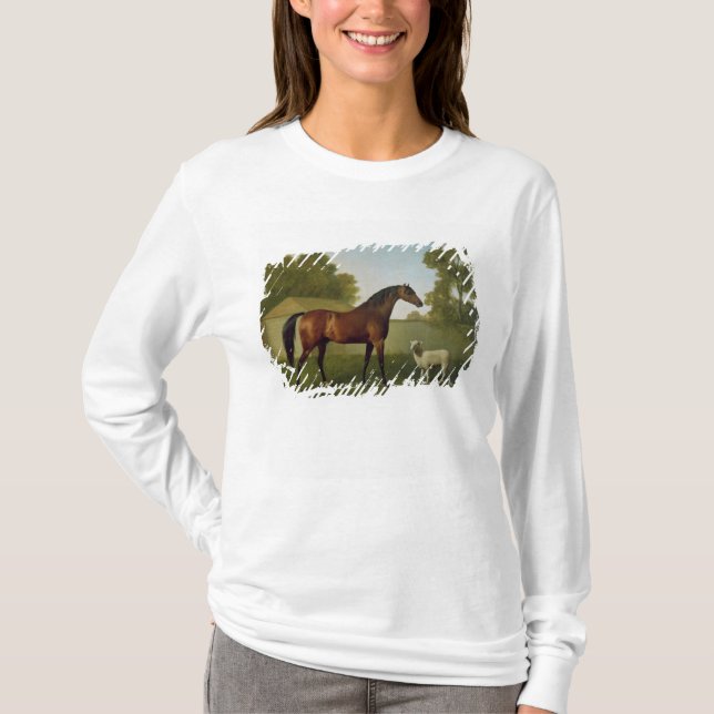 Camiseta Dungannon, a propriedade do coronel O'Kelly (Frente)