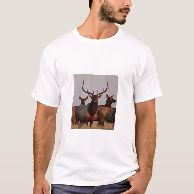 Camiseta E66 Touro Elk e Vacas (Frente)