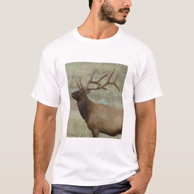 Camiseta E9 Bull Elk em Velvet (Frente)