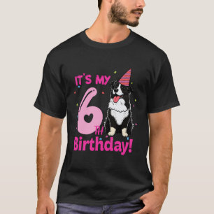 Camiseta É A Minha Fronteira De Aniversário De 6, Collie Do