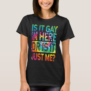 Camiseta É Gay Aqui Dentro Eu Gay Gay Lésbica Tolerância Ga