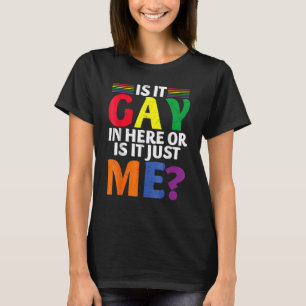 Camiseta É Gay Aqui Ou Sou Apenas Eu Diversão Lgbt Gay Pr
