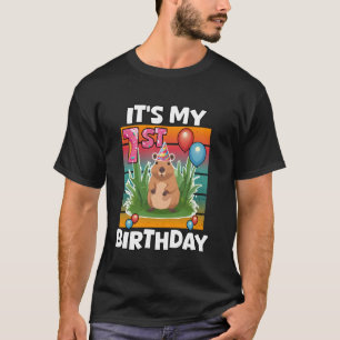 Camiseta É Meu 1º Aniversário Capivara Fofa Primeira Parte