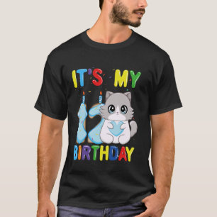 Camiseta É Meu 12º Aniversário Menino Gato Ragdoll de 12 An