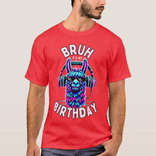 Camiseta É Meu Aniversário Lhama Menino Menina Família Dive