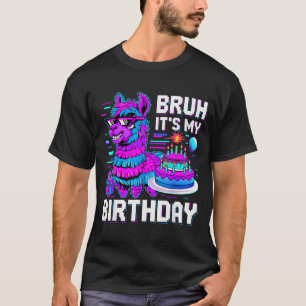 Camiseta É Meu Aniversário Lhama Nata Menino Menina Família
