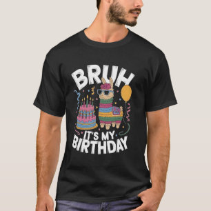 Camiseta É Meu Aniversário Lhama Pinata Menino Menina Famíl