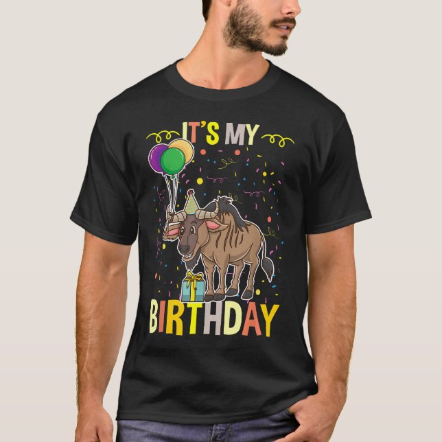 Camiseta É Meu Aniversário Ñu (Frente)