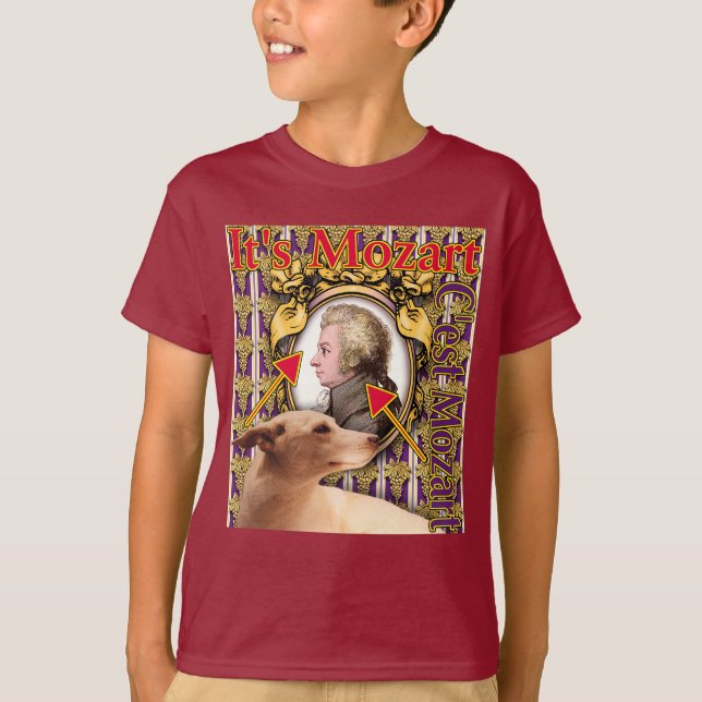 Camiseta É Mozart. (Frente)