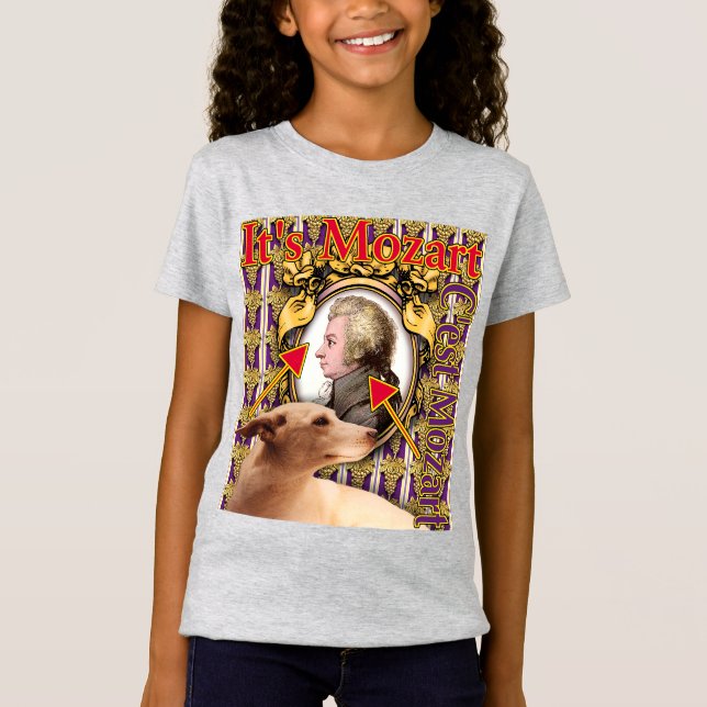 Camiseta É Mozart T-Shirt (Frente)