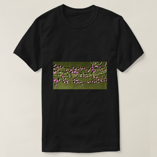 Camiseta E Muro de Células Coli com Bacteriófagos 1 (Frente do Design)
