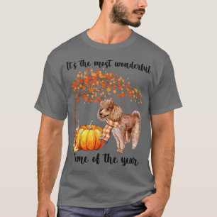 Camiseta É O Mais Maravilhoso Poodle Do Horário De Outono,