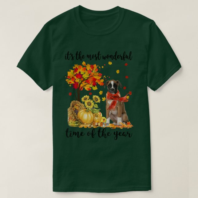 Camiseta É O Mais Maravilhoso Pumpkin Do Autumn Time (Frente do Design)