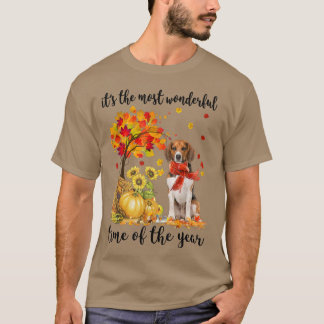 Camiseta É O Mais Maravilhoso Pumpkin Do Horário De Outono