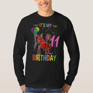 Camiseta É O Meu 11 Aniversário Ant Keeper