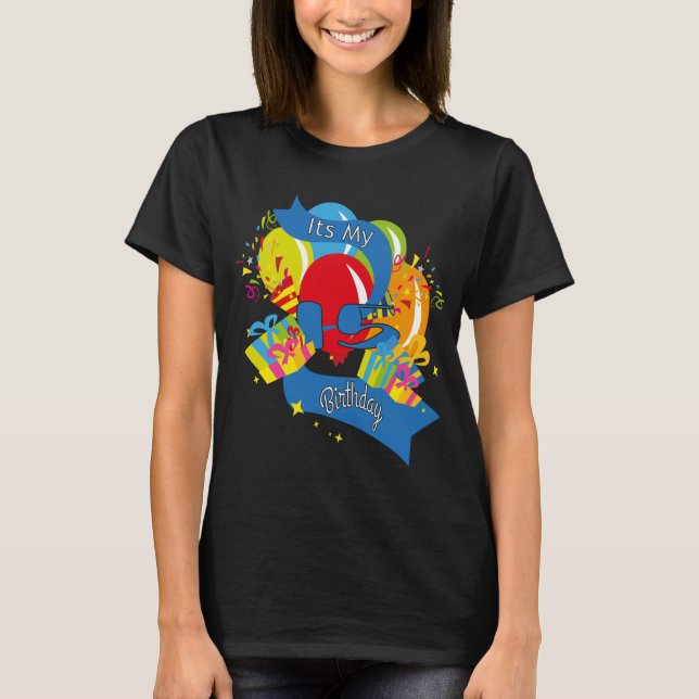Camiseta É O Meu 15 Aniversário (Frente)