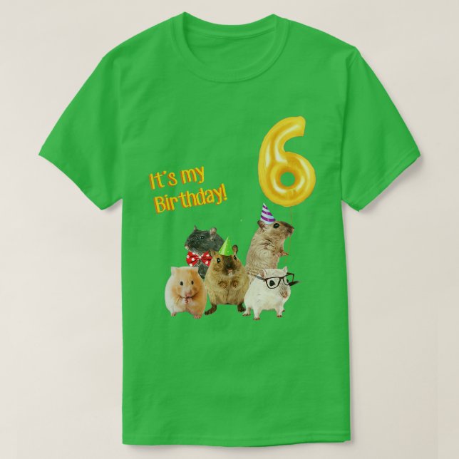 Camiseta É o meu 6 de aniversário (Frente do Design)