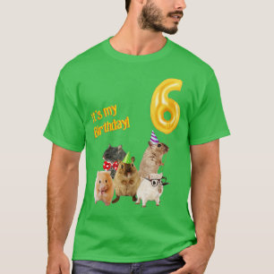 Camiseta É o meu 6 de aniversário