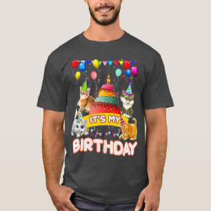 Camiseta É o meu aniversário, Gato e Festa de Gatinhos